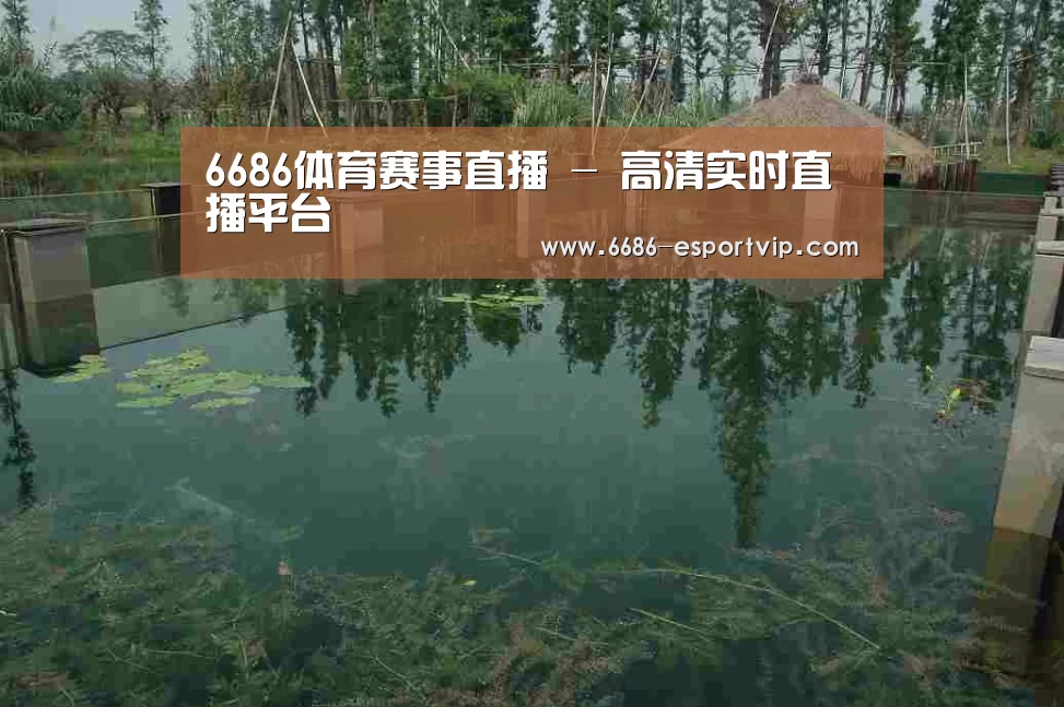 案例展示二