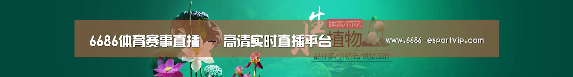 鲜花水草花卉网站模板