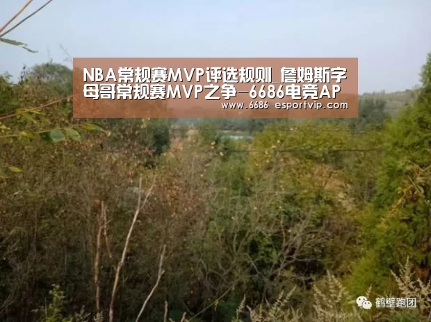 NBA常规赛MVP评选规则_詹姆斯字母哥常规赛MVP之争-6686电竞APP(图1) 6686赛事直播