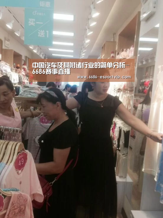 中国汽车及其附诸行业的简单分析-6686赛事直播(图1) 6686电竞APP